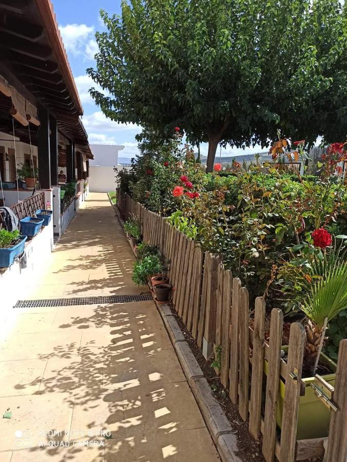 Casa Rural Alamillo Luque Ngoại thất bức ảnh