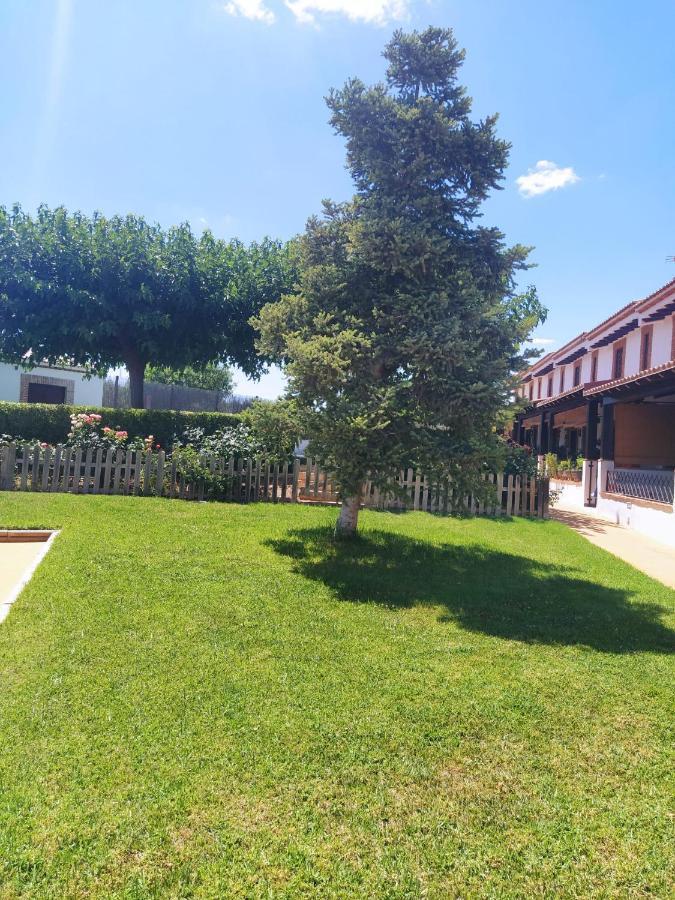 Casa Rural Alamillo Luque Ngoại thất bức ảnh