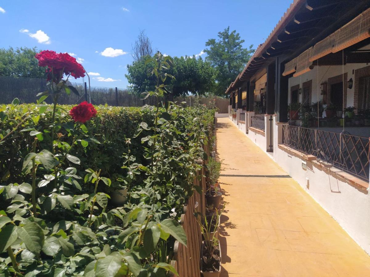 Casa Rural Alamillo Luque Ngoại thất bức ảnh